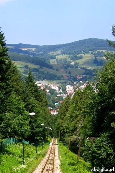 krynica